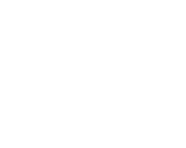 logo_img